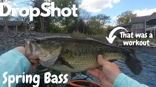 Dropshoting leads to massive spring bass Otisco Lake [upl. by Enitsirc]