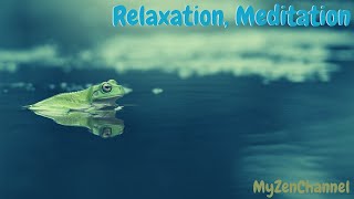 Ambiance de Pluie avec Bruit de Grenouilles La Nuit Relaxation Méditation [upl. by Roel]