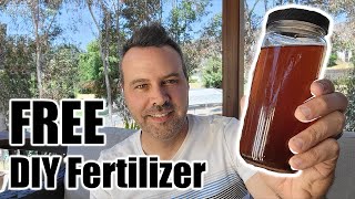 What I Use instead of Miracle Gro plus Free HomeMade Fertilizer [upl. by Anilrahc]