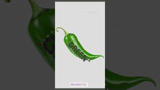 Photoshop Tutorial  Photo Manipulation In photoshop  Typography [upl. by Uhayile]