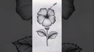 Phool Drawing Step By Step pencildrawingtechniques drawing pencilart drawingtechniques pencil [upl. by Raual]