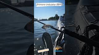 Shimano Undulator 88 FFB fishing berlin boot fish [upl. by Junette956]