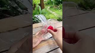 Techniques planting bottle plastic grow flowers so beautiful garden flowers plants flower diy [upl. by Ennoved]