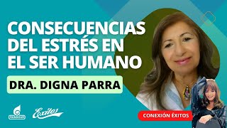 Conoce las consecuencias del estrés en el ser humano [upl. by Ecnaralc357]