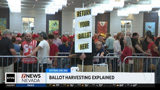 An explanation of ballot harvesting [upl. by Silvana]