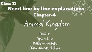 class chondrichthyes animal Kingdom ncert line by line explanation [upl. by Bea106]