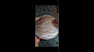 shamzavino Vlogs is live ODD ASMR  VERY SATISFYING FANTASTIC FOIL ASMR SOUND asmr trending foil [upl. by Negaet603]