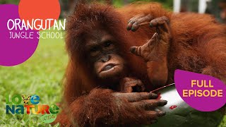 How to Speak Orangutan  Orangutan Jungle School 205 [upl. by Asen]