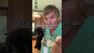 Awesome kitchen remedy for dogs and cats [upl. by Cyrie]