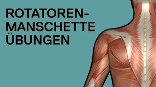 ROTATORENMANSCHETTE ÜBUNGEN ohne Geräte auch gegen Schulterschmerzen [upl. by Ahsiele84]