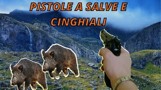 PISTOLA A SALVE E CINGHIALI  CARICA DEL CINGHIALE [upl. by Adroj309]