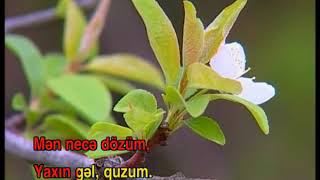 Aylı gecələr  Karaoke  Azərbaycan Bəstəkar mahnısı [upl. by Abey]