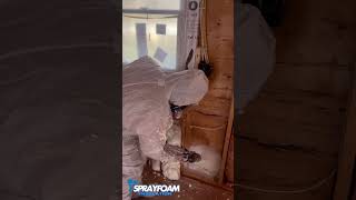 sprayfoaminsulation foam opencell usa contructionwork satisfyingvideo shorts viralshort [upl. by Yaker]