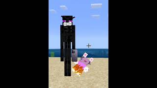 FIRE DONT WANT DO LET ENDERMAN VEIW THIS VIDEO [upl. by Salvatore]