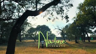 Nature Cinematic  Panhala Fort  Cinematography By Rushiprasad Dongare [upl. by Kendy214]