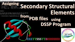 Assigning secondary structural elements from PDB files using DSSP [upl. by Ag]