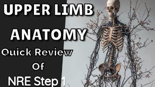 Upper Limb Anatomy NRE 1 Prep  Medical Corps 🩺 [upl. by Eronaele]