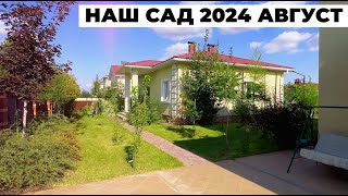 ОБЗОР НАШЕГО САДА на АВГУСТ 2024 год  ДЕРЕВЬЯ ПЛОДОВЫЕ  КУСТАРНИКИ  ТЕПЛИЦА  ГАЗОН [upl. by Dugan643]