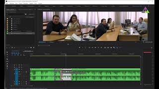 PluralEyes 4  многокамерный монтаж в Adobe Premiere [upl. by Eocsor]