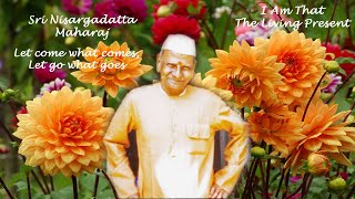 Nisargadatta Maharaj  I Am That  Item 3 The Living Present  Part 1 Let Things Come amp Go [upl. by Ticon]