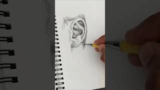 Side View simple ear Sketch Tutorial drawing sketch timelapse [upl. by Laefar250]