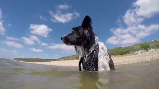 Snorkelling at Ringstead Bay Dorset [upl. by Etnuahs579]