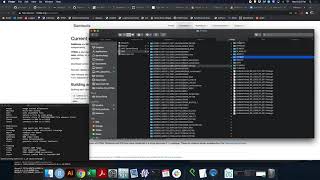 Samtools Mpileup Tutorial [upl. by Arraeis]