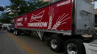 Barley Beer Budweiser [upl. by Timmons]