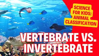 The Animal Kingdom Classification of Vertebrates amp Invertebrates  Kids Science Lesson [upl. by Aimahc]