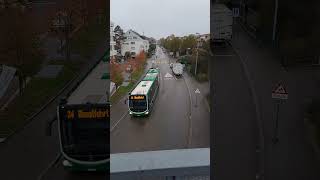 Buslinie 34 in Riehen Niederholz bus linienbus bvb busspotting mercedesbus shorts yt [upl. by Ru]