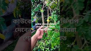 আল্লাহ্ প্রিয় হতে হলে বেশি বেশি নফল ইবাদত করতে হবে ইনশাআল্লাহ azhari shortvideo foryou [upl. by Ailaham]