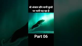 Dog story part 6 facts videoshort [upl. by Flita611]