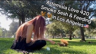 Artemisia Love Public 420 Smoke Sesh  the park amp Feeding 🐿️🐿️ Link in Bio losangeles squirrel [upl. by Ultima]