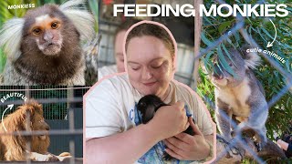 Meeting Monkies amp Zoo Day Vlog 🐒🦁 [upl. by Dichy]