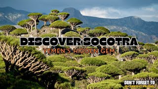 Discover Socotra Yemens Hidden Gem [upl. by Nitsraek]