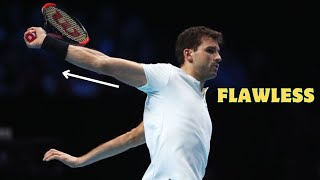 Grigor Dimitrov Backhand Slow Motion  Analysis [upl. by Hausner]