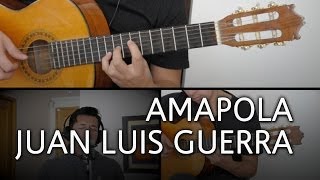 Amapola Juan Luis Guerra Guitarra Cover Mauro Martinez [upl. by Haliek]