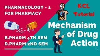 Mechanism of Drug Action Enzyme Ion Channel Transporter and Receptor General Pharmacology [upl. by Ileray]