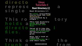 Linux Root Directory  education peethidevops Linux Basics LinuxFileSystemsLinux DevOps [upl. by Aihtenyc]