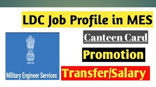 LDC job profile in MES  Promotion  Medical Facilities  Technical Vlogger [upl. by Jaquiss]