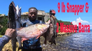 Massive Barracuda’sTrigger Fish amp Snapper Was Speared Today Action Pack Video Click amp Enjoy viral [upl. by Mack]