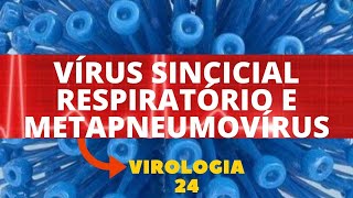 VÍRUS SINCICIAL RESPIRATÓRIO E METAPNEUMOVÍRUS  VIROLOGIA  AULA 24 [upl. by Nerland]