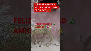 CUANDO TENEMOS A JESUS EN NUESTROS CORAZONES HAY PAZ GOZO Y SEGURIDAD🙏youtubeviralsalvadorpaz [upl. by Aimehs206]