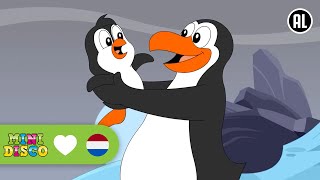 MIJN PAPA PINGUIN  Kinderliedjes  Minidisco [upl. by Schriever]