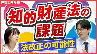 知的財産法の課題、法改正の可能性 [upl. by Greenman]