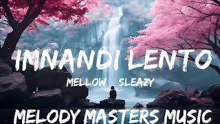 Mellow amp Sleazy x SjavasDeejay x TitoM  Imnandi lento Lyrics feat Tman Xpress  25mins  Feel [upl. by Ahsiugal]