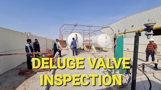 Deluge Valve System Inspection [upl. by Aigroeg88]