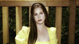 Lana Del Rey  Dealer Filtered Instrumental [upl. by Adamec]