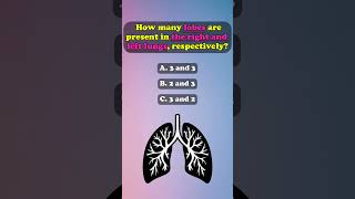 Lobes of lungs healthquiz facts humananatomy nursequiz generalknowledge healthsciencequiz [upl. by Spanos]