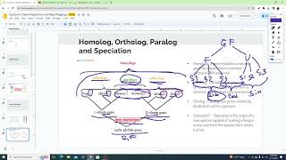 Gene Duplication Introduction  Homolog Ortholog Paralog [upl. by Rez]